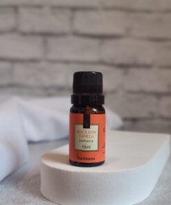 Essência Via Aroma Maçã Com Canela