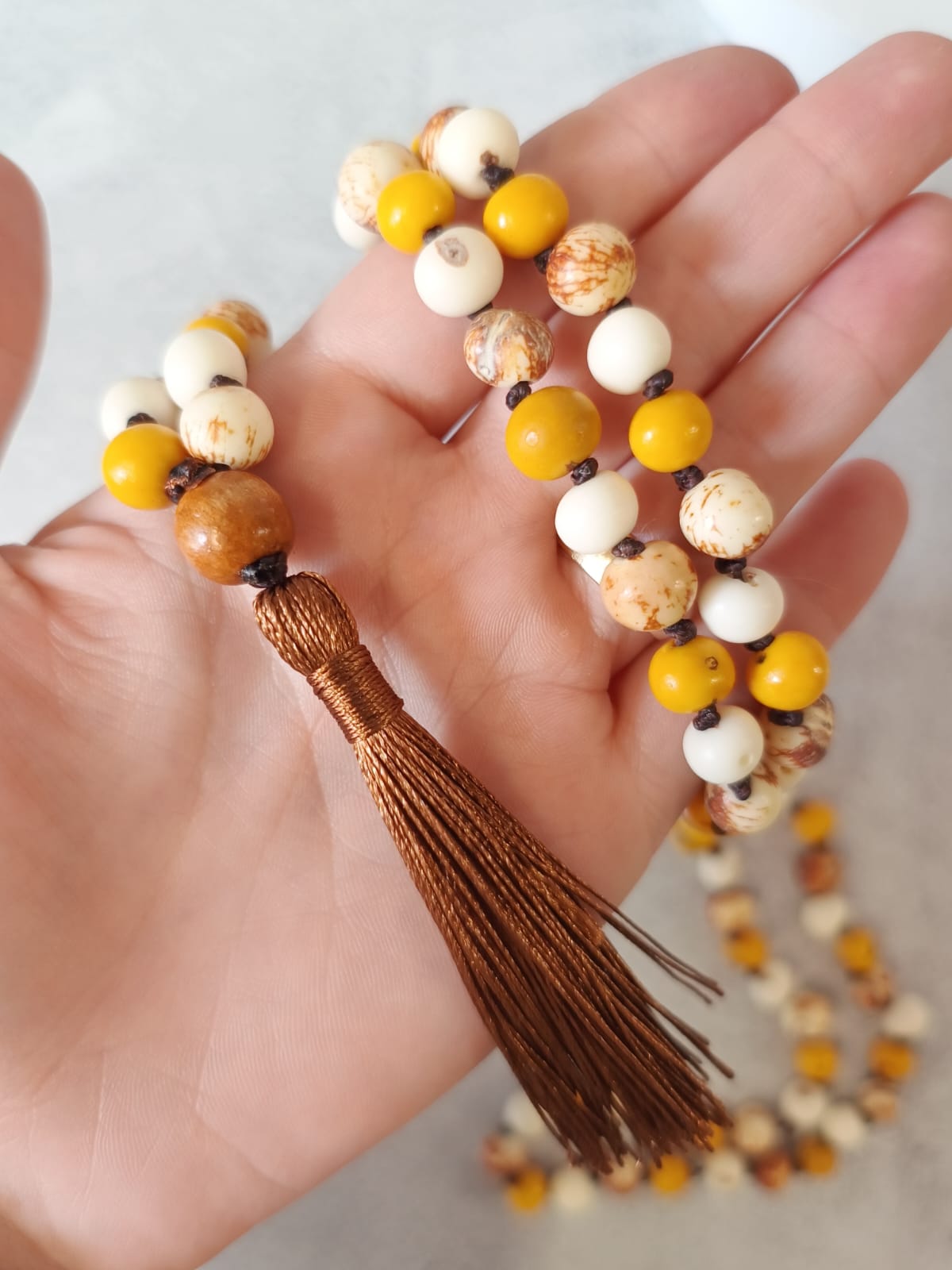 WhatsApp Image 2025-10-28 at 14.07.58 (1)