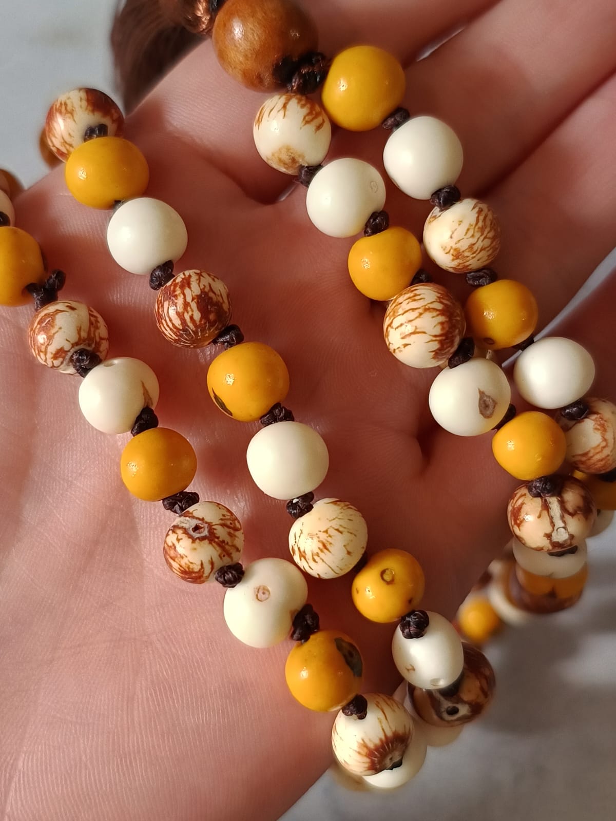 WhatsApp Image 2025-10-28 at 14.08.01 (1)