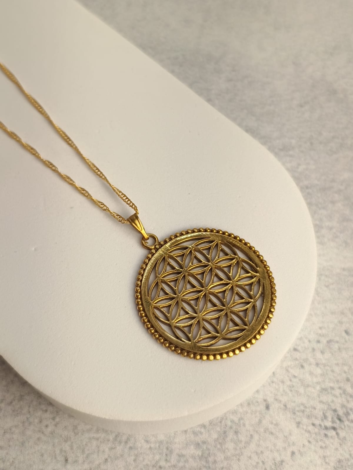 WhatsApp Image 2025-11-03 at 11.12.53 (3)