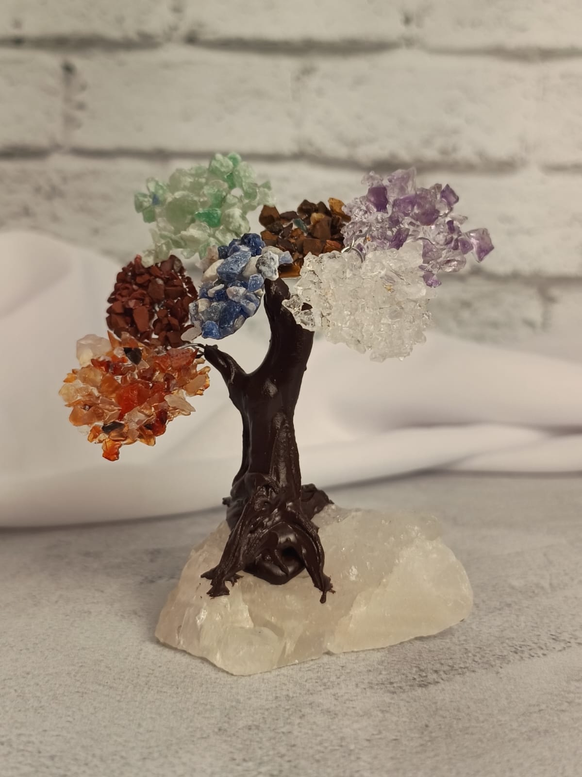 WhatsApp Image 2026-02-11 at 10.36.32 (2)