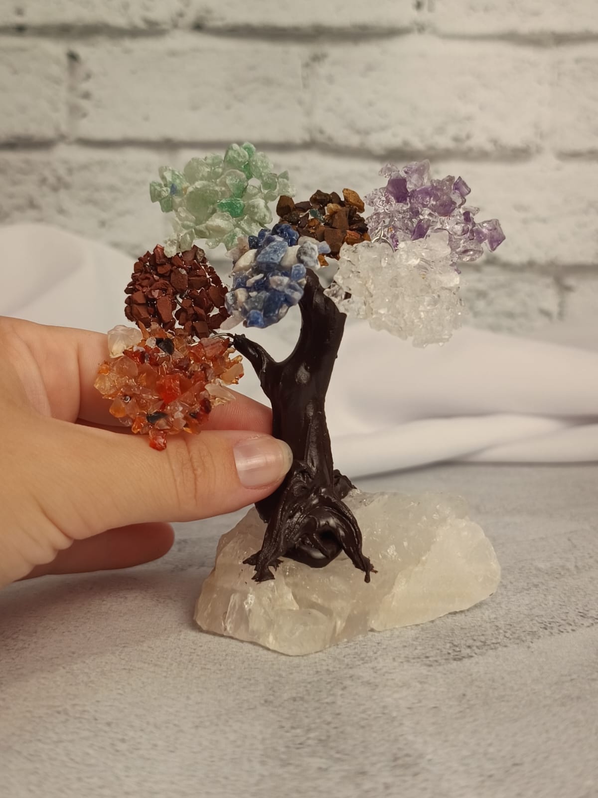 WhatsApp Image 2026-02-11 at 10.36.33