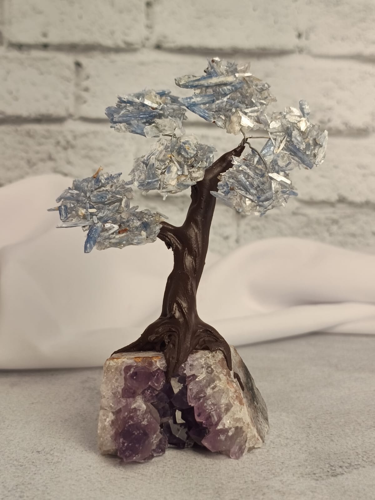 WhatsApp Image 2026-02-11 at 10.36.34 (1)