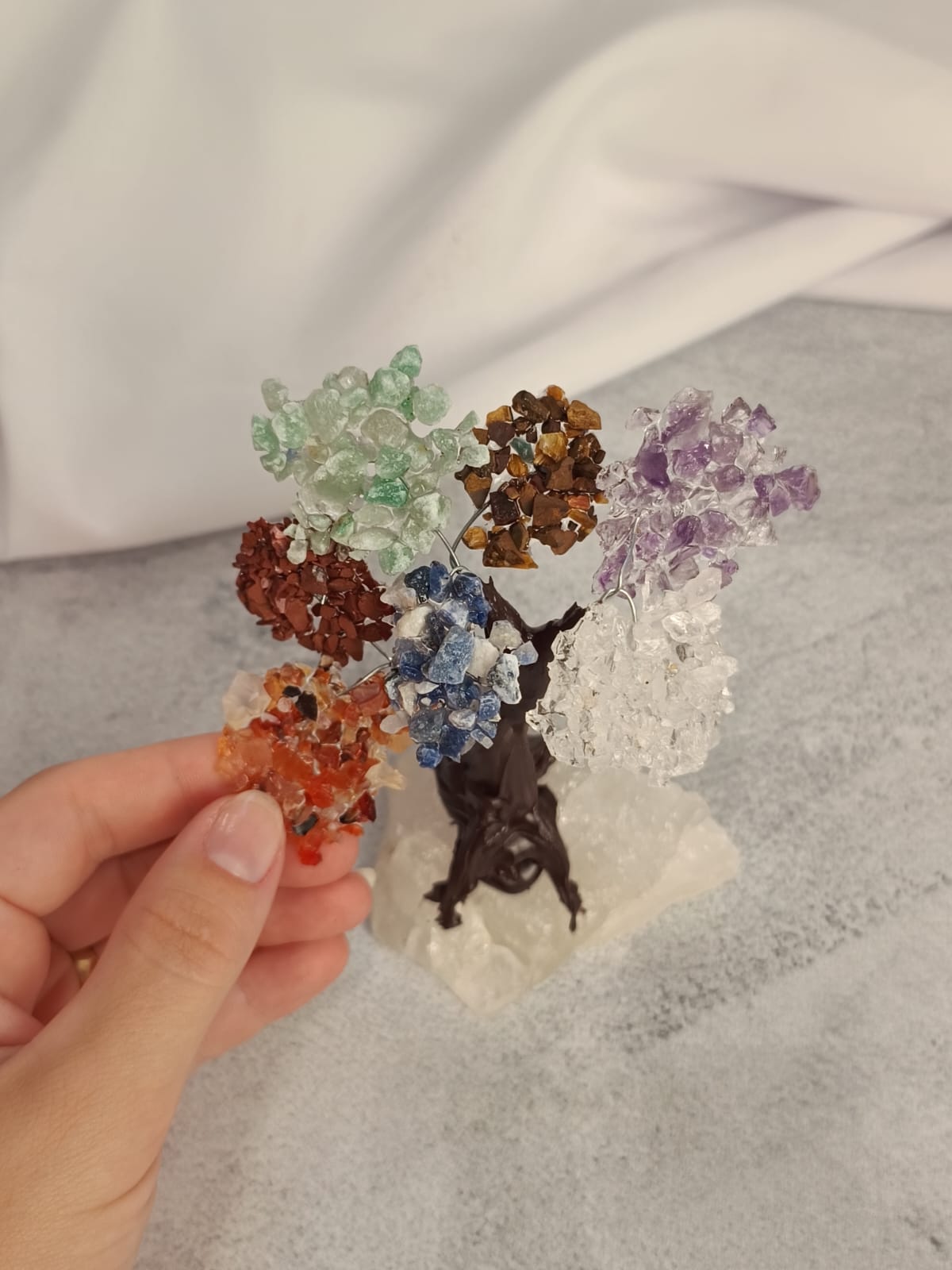 WhatsApp Image 2026-02-11 at 10.36.34