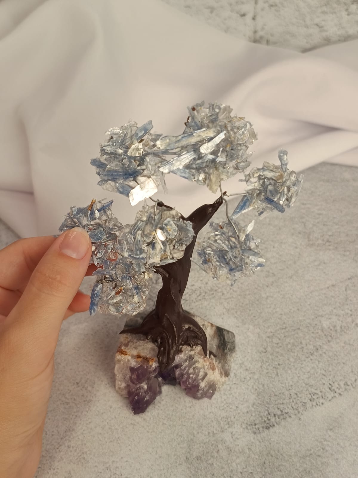 WhatsApp Image 2026-02-11 at 10.36.35 (1)