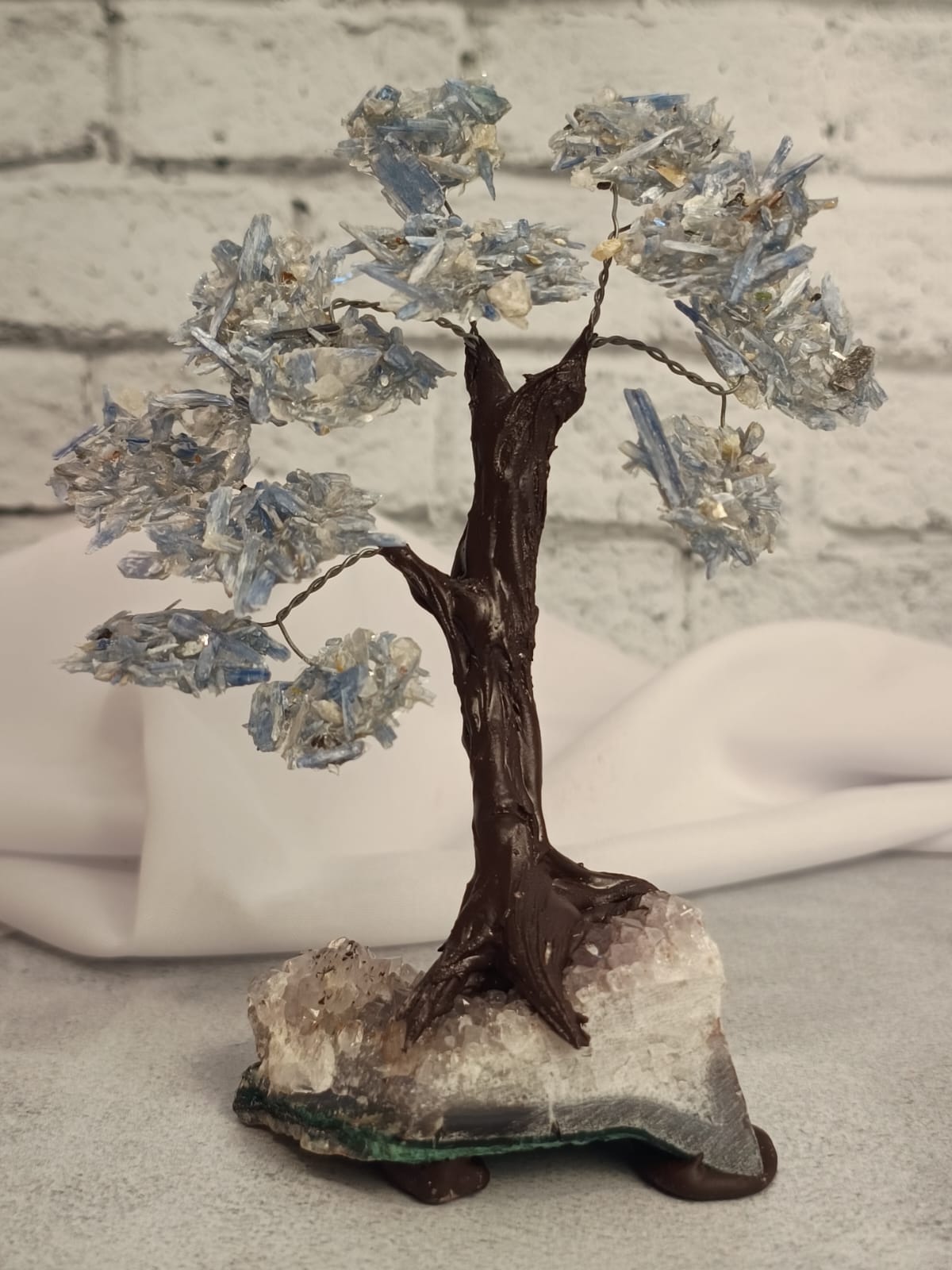 WhatsApp Image 2026-02-11 at 10.36.35 (2)