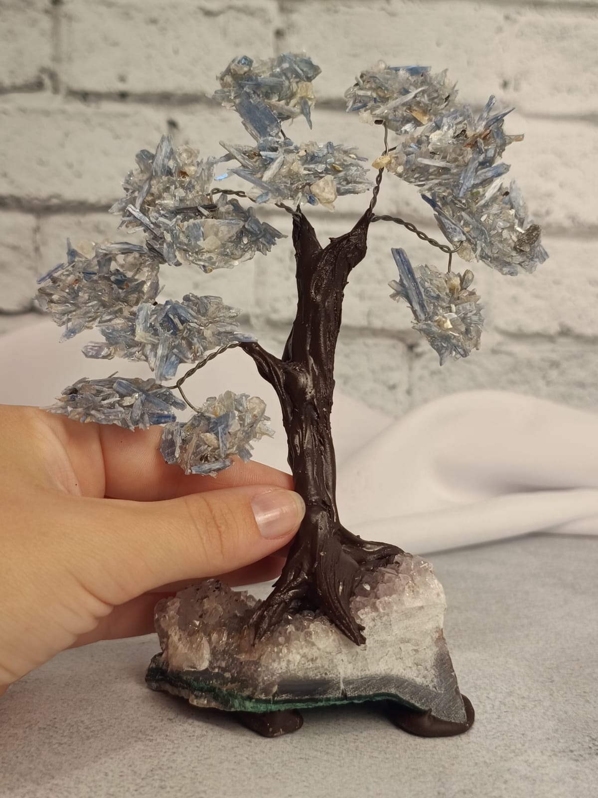 WhatsApp Image 2026-02-11 at 10.36.35 (3)