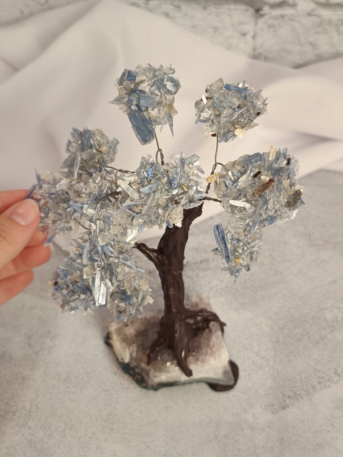 WhatsApp Image 2026-02-11 at 10.36.35 (4)