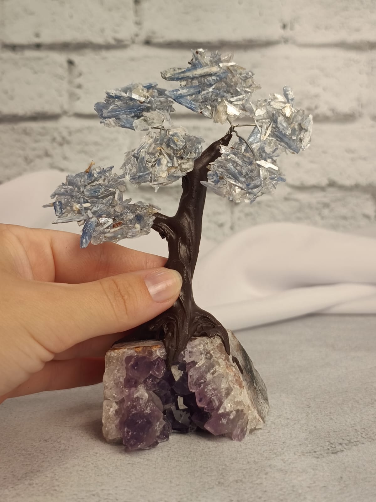 WhatsApp Image 2026-02-11 at 10.36.35